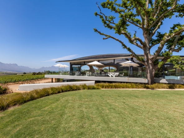042 Louisvale Wines AS 2019