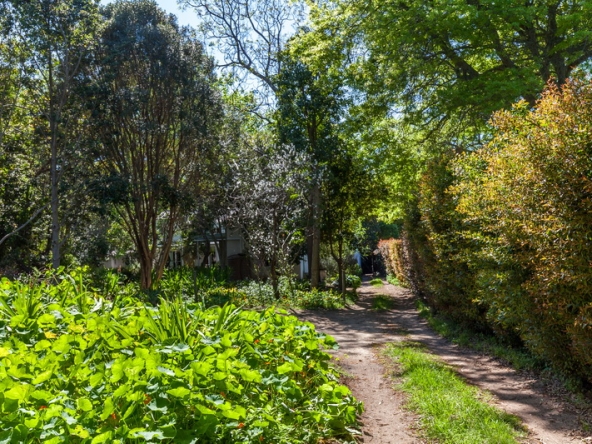 044 Gumbee Lodge AS 2019