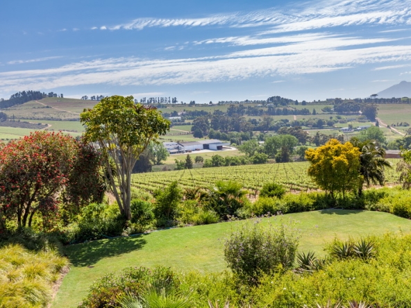 076 Louisvale Wines AS 2019