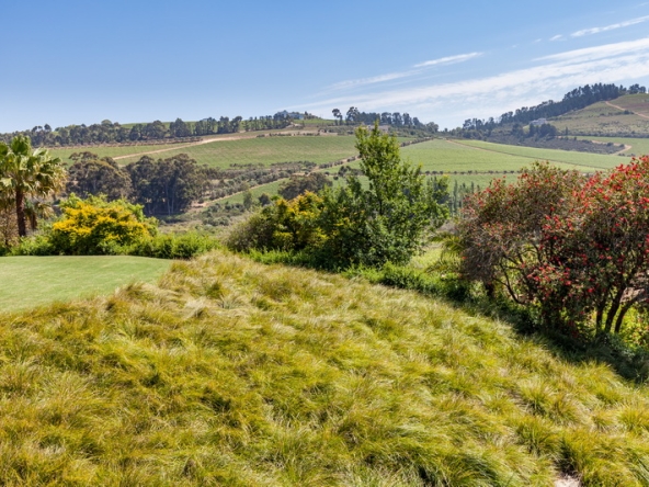 077 Louisvale Wines AS 2019