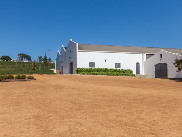 082 Louisvale Wines AS 2019