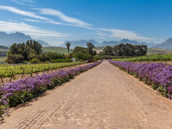 088 Louisvale Wines AS 2019