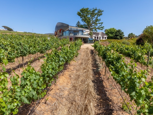 093 Louisvale Wines AS 2019