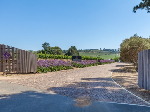 103 Louisvale Wines AS 2019