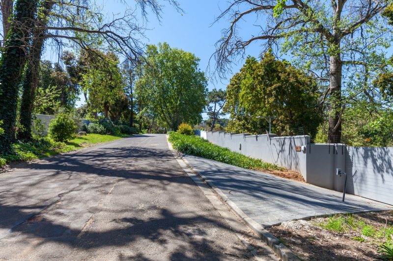 Steel Vines AS 2019-104