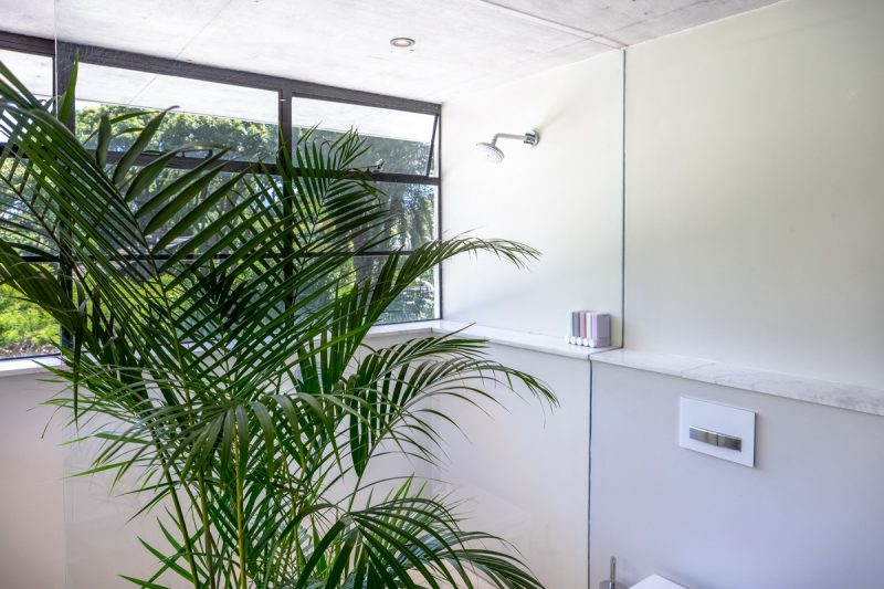 Saturday Night Fever AS 2019-026