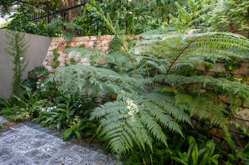 Saturday Night Fever AS 2019-054