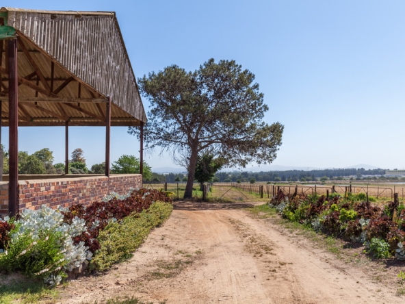 043 Starke AS 2019