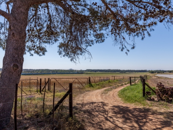 046 Starke AS 2019
