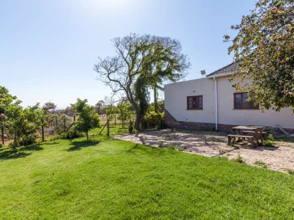 076 Starke AS 2019