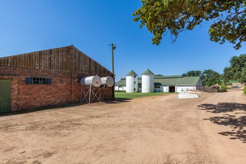 Starke AS 2019-031