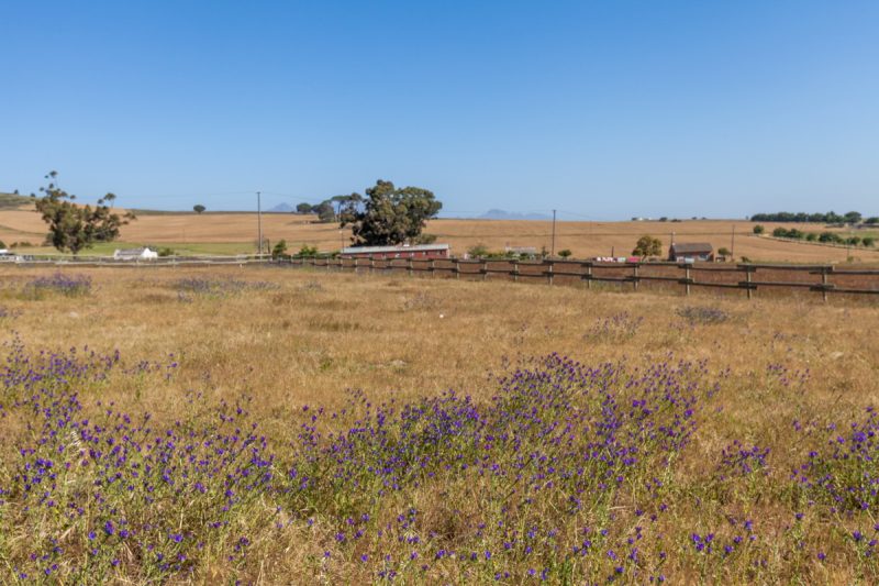Starke AS 2019-094