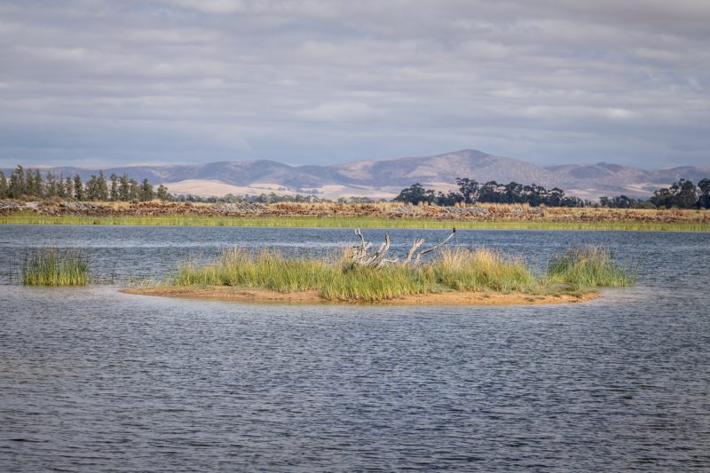 Bontebok Ridge AS 2020-031