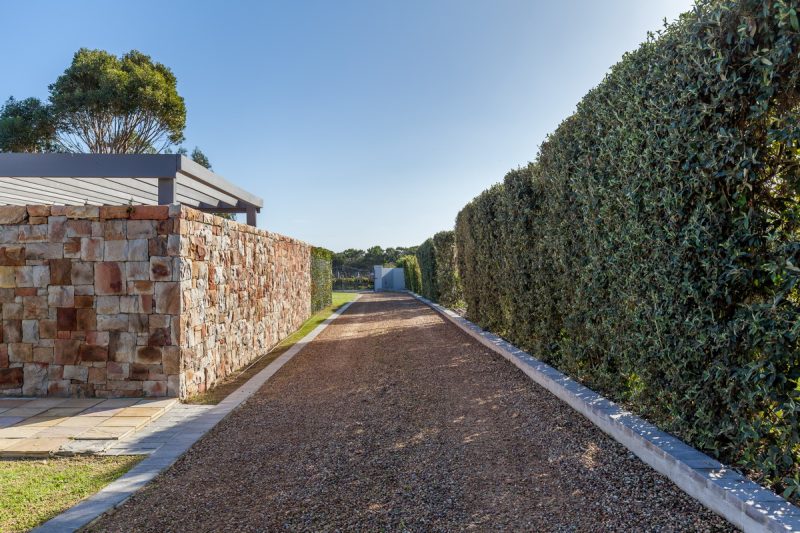 Sandalwood AS 2020_ 091