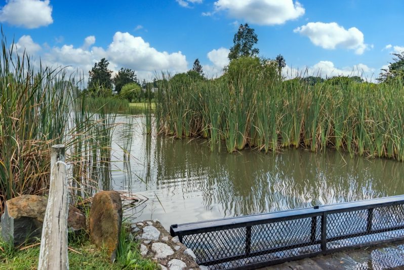 Barnstaple AS 2021_009