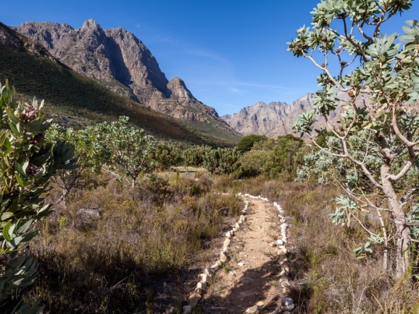 108 Du Kloof AS 2021
