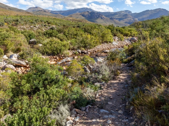 111 Du Kloof AS 2021