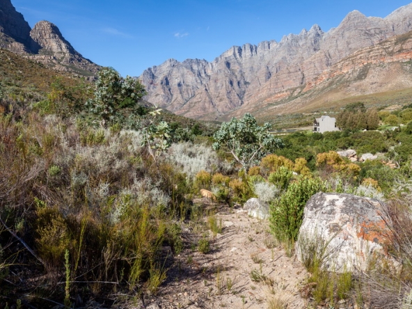 114 Du Kloof AS 2021