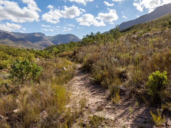 116 Du Kloof AS 2021
