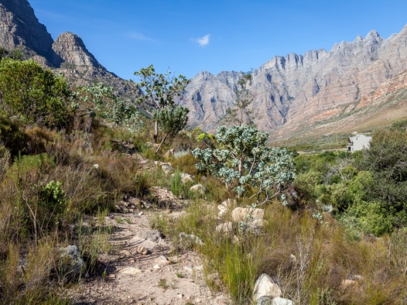 117 Du Kloof AS 2021
