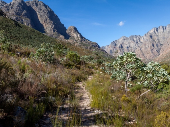 118 Du Kloof AS 2021