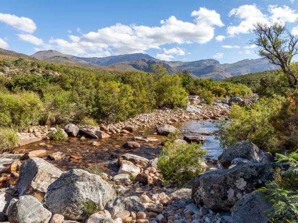 120 Du Kloof AS 2021