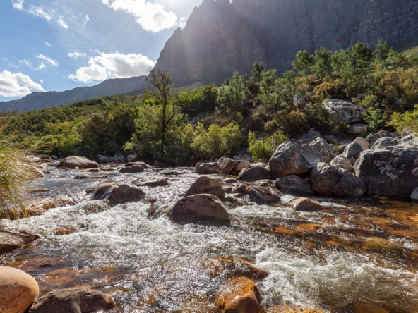126 Du Kloof AS 2021