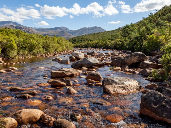 139 Du Kloof AS 2021