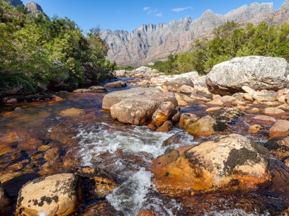141 Du Kloof AS 2021
