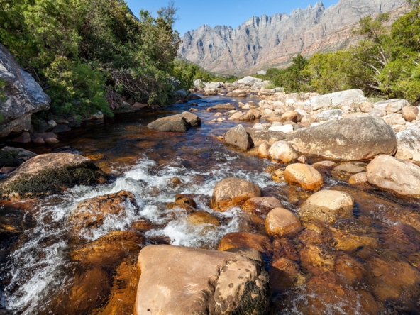 142 Du Kloof AS 2021