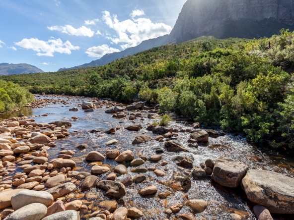 144 Du Kloof AS 2021