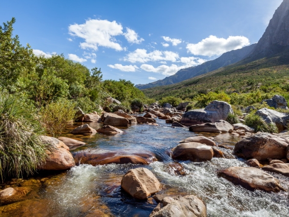 166 Du Kloof AS 2021