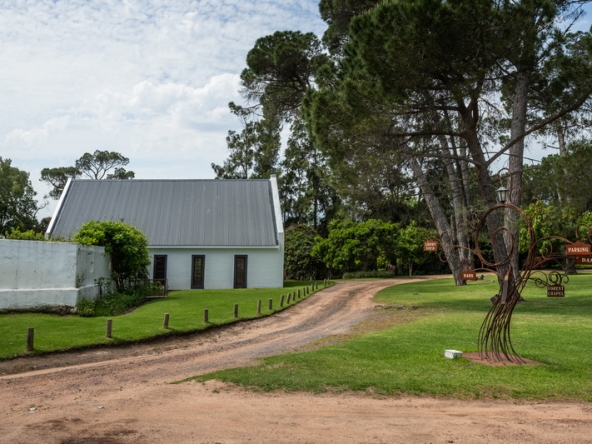 006 Winery Road Forest AS 2021