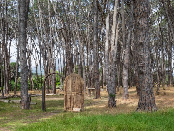 029 Winery Road Forest AS 2021