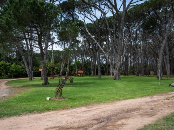 030 Winery Road Forest AS 2021