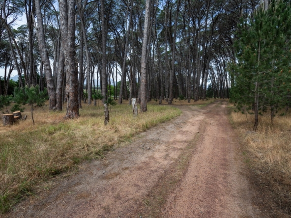 031 Winery Road Forest AS 2021