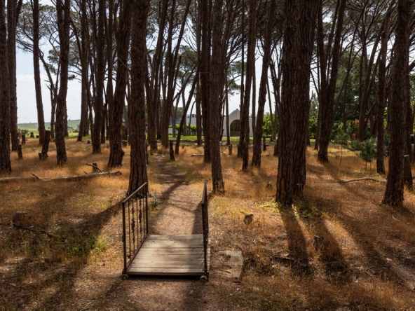 036 Winery Road Forest AS 2021