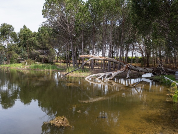 043 Winery Road Forest AS 2021