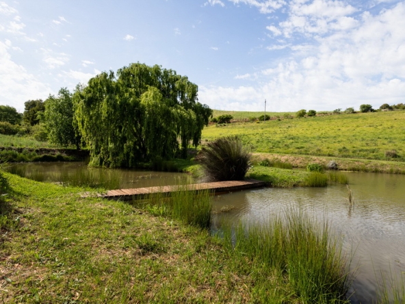 067 306 Degree Farm AS 2021