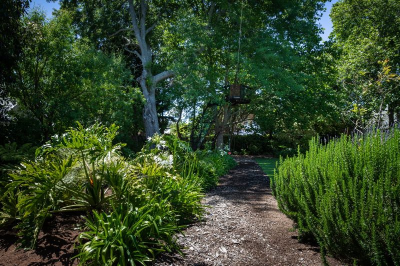 My Sharona AS 2021_06