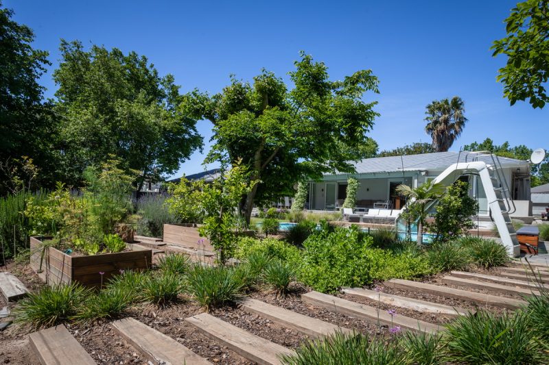 My Sharona AS 2021_07