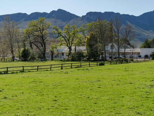 008 Beaumont Stud AS 2026