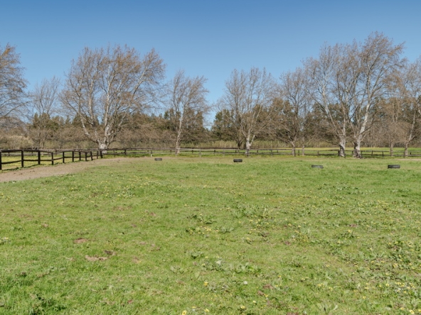 039 Beaumont Stud AS 2026