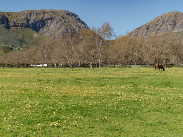 041 Beaumont Stud AS 2026