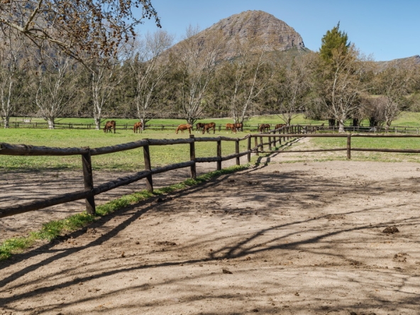 045 Beaumont Stud AS 2026