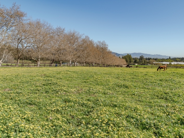 047 Beaumont Stud AS 2026