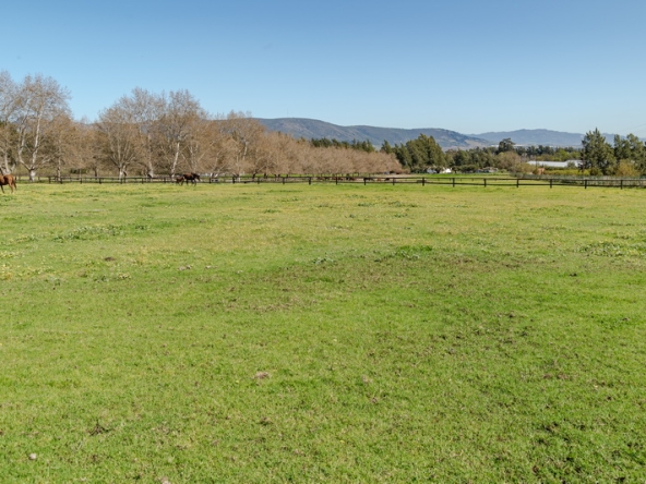050 Beaumont Stud AS 2026