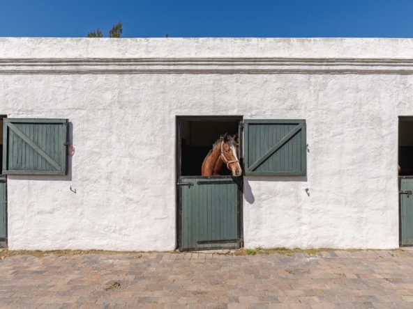 066 Beaumont Stud AS 2026