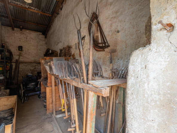 De Hoop AS 2022_054