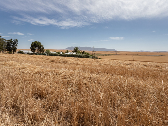 De Hoop AS 2022_071